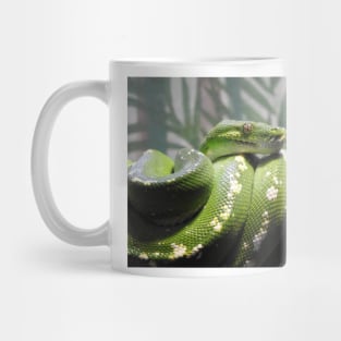 Green Tree Python Mug